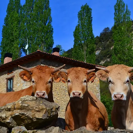 Caserio Montehermoso * Astulez