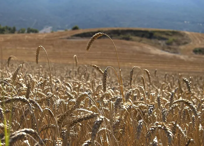 Country house Caserio Montehermoso Astulez