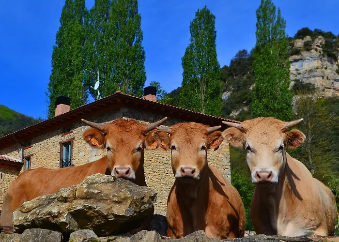 Caserio Montehermoso * Astulez