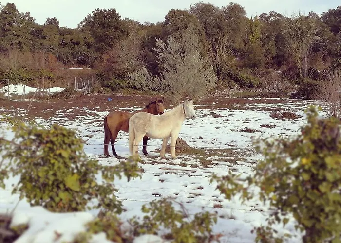 Caserio Montehermoso