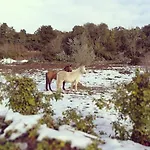 Caserio Montehermoso