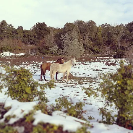 Caserio Montehermoso